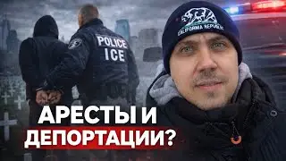 Что происходит с иммиграцией в США? Реальность без эмоций 