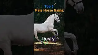 Most favourite 🐴 Male Horse Name #horse #horselover #viral #shortvideo