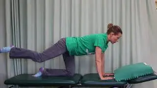 #50 Quadruped core exercise