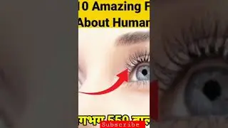 facts vdo subscribe   my new vdo
