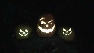Singing Pumpkins Halloween Night at Fort Wilderness Backyard Barbecue 10/31/11
