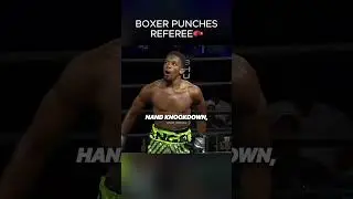 Boxer Punches Referee