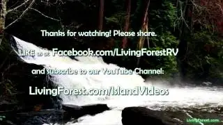 Nanaimo's Bowen Park waterfall- winter edition!