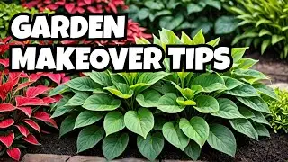 Top 5 Fast-Growing Ground Covers Plants to Transform Yard or Garden | Instant Garden Makeover Tips