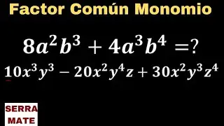 Factor Com&uacute;n Monomio # 1