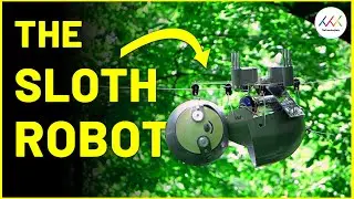 Sloth Bot saves Endangered Species! | Innovative Robot Tech