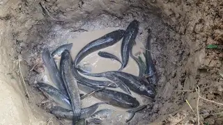 Amazing Deep Hole Fishing at Kandal |  Documentary Trap Fishing | How To Fishing Deep Hole
