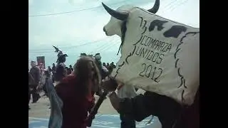 Dimensi&oacute;n de Oaxaca: Carnaval 2012 Vlll