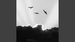 Cloud Symphony