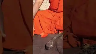 Джоги говорит о Гедаре Сингхи