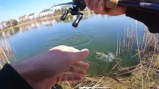 Google Maps Helped Me Discover this Bass Fishing Honey Hole !