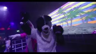 Mark Wilks Live @ White Moon Festival | H7 Warehouse Amsterdam | 29.03.25