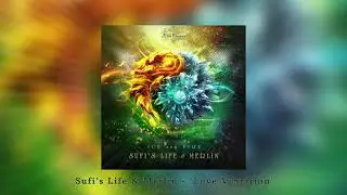 Sufi's Life & Merlin - 