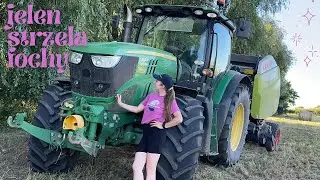 Sianokosy 2025! | VLOG