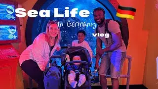 Sea Life in Germany vlog - is it worth the visit? 🤔 🇩🇪 Aussie living abroad in Germany