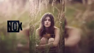 Sugar - Baribal