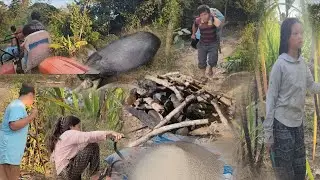 Txias kab tsib mus rau peb noj pem pem liaj2/1/2026