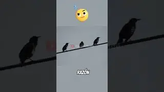 Como hacen las aves para no electrocutarse?
