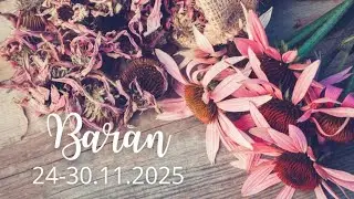Baran ♈ 24-30/11/25 🌺 Uwierz w siebie! Masz szansę zrealizować swoje marzenia. Nowy rozdział! ✨