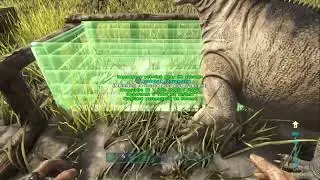 Petits Taming Et D&eacute;co ARK cluster 2.0 #ep9