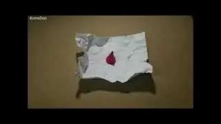 Shape and Form - Stop motion KKU.VCD#21