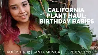 Birthday Plant haul Part 1| August 2019 | ILOVEJEWELYN