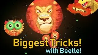 Agma.io - Ultimate Reverse Tricks with Beetle!
