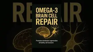 3 Ways To Support Brain Cell Repair | Neuroplasticity, Healing & Better Brain Health