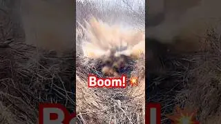 We Blew Up a Beaver Dam With Tannerite