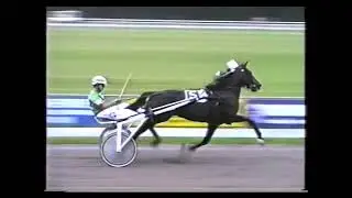 24-07-1989 Alkmaar , Alkmaars Kampioenschap 4 Jarige,  Ciao Magnus  Ronald van Stam
