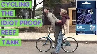 Cycling The Idiot Proof Reef Tank