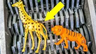Shredding Jungle Animal Toys!  What's Inside Safari Animals Squish Toys and Slime Water Bath  Toys?