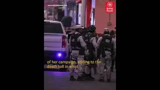 Morena Candidate Bertha Gisela Gayt&aacute;n Shot Near Celaya: Campaign Tragedy
