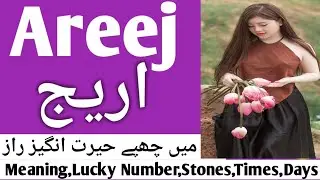 Areej Name Meaning In Urdu Girl Name اریج |areej naam ka matlb | Name Urdu By Adeel