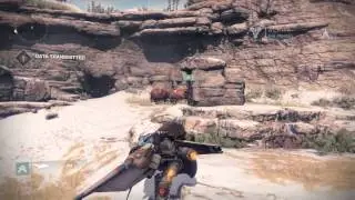 Destiny Pike Bug