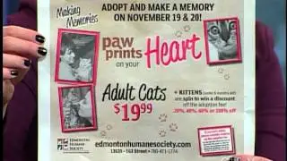 Edmonton Humane Society - CTV Edmonton (Nov. 17, 2011)