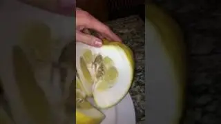 GIANT LEMON 😐🍋