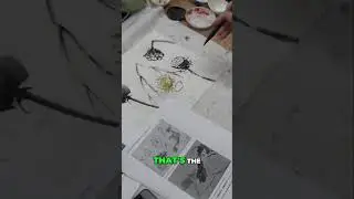 Artist's Lotus Pods Drawing: Ink vs Paint! See the Stunning Result! #shorts
