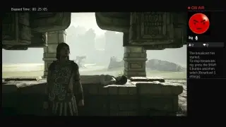 Shadow of the Colossus Boss #1