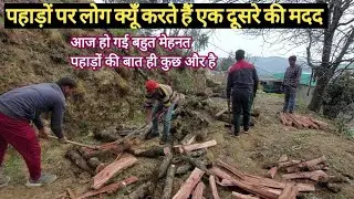 आज बनाई घर के लिए लकड़ियां जंगल से ✌️ Pahadi Jeevan ! Mukteshwar Uttarakhand