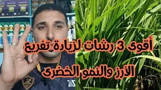 ٣ رشات يزودوا التفريع ويولعوا النمو الخضرى للارز من٢٠ إلى٥٠ يوم ، دى مش رشات دى سر محدش هيقوله عليه