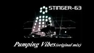 StingeR-63 - Pumping Vibes(original mix)