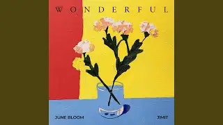 Wonderful (Instrumental Version)