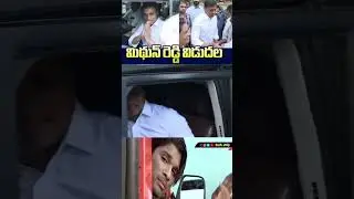 MP Mithun Reddy Released From Rajahmundry Central Jail #mithunreddy #ysrcp #andhrapradesh