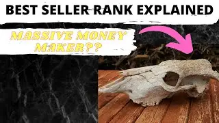 The Best Seller Rank In Amazon | What It Means, How To Use It + Free Cheat Sheet