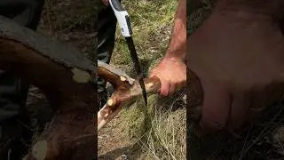 Survival skills: Primitive Method to Create Real Charcoal. #survival #campping #skills