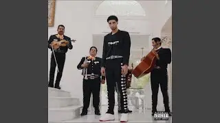&Aacute;ndale