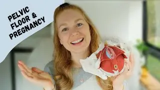 Importance of the pelvic floor muscles during pregnancy