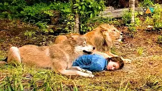 What Happens When a Wolf and a Lion Raise a Girl in the Wild? | Movie Recap