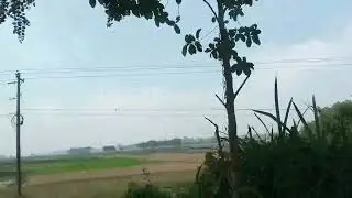 Village life 